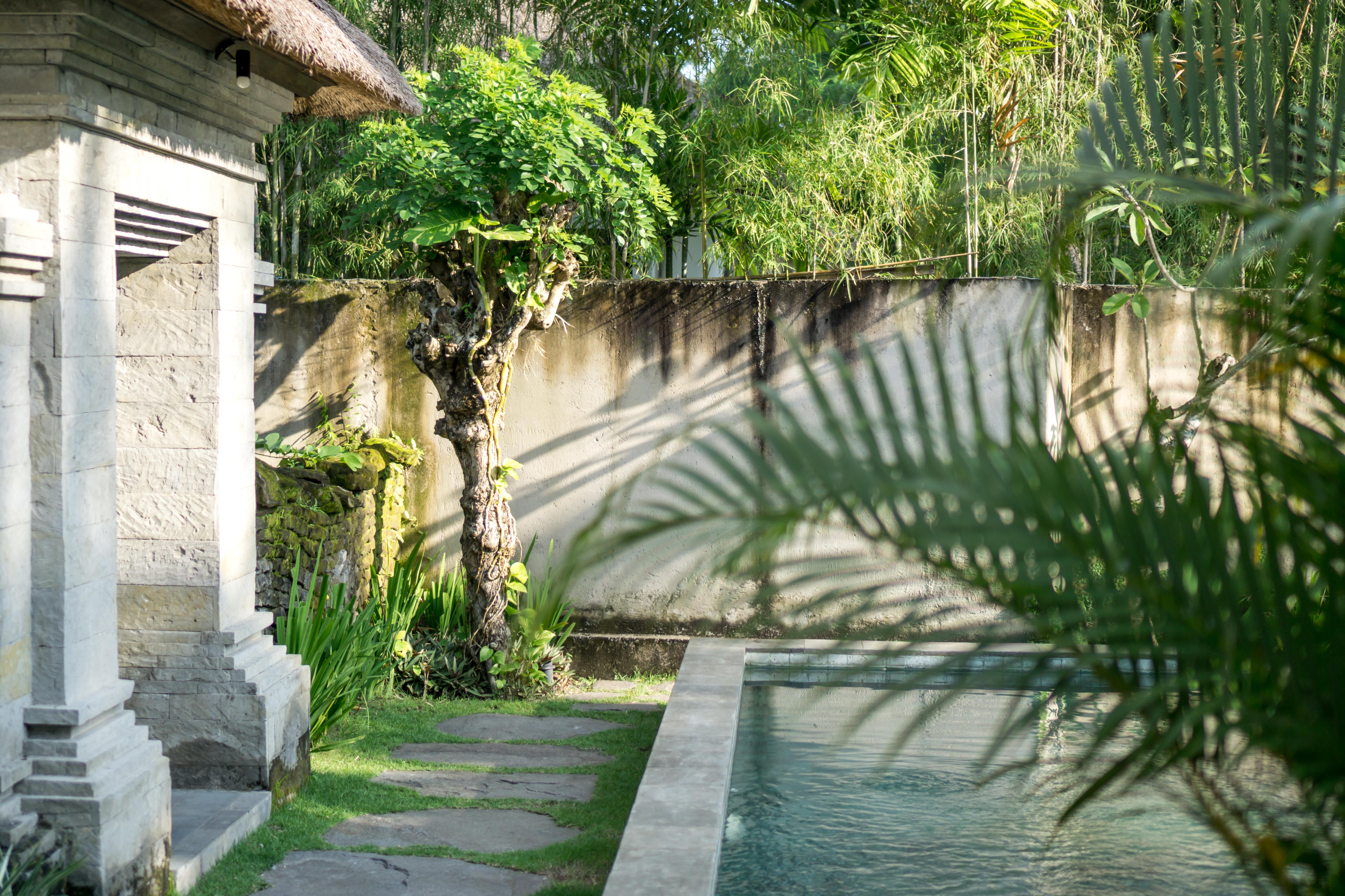 Radha Phala Resort & Spa Ubud Exterior foto